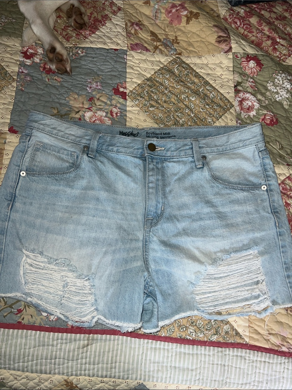 Mossimo Supply Co. Light Blue Boyfriend Midi Denim size 12/31